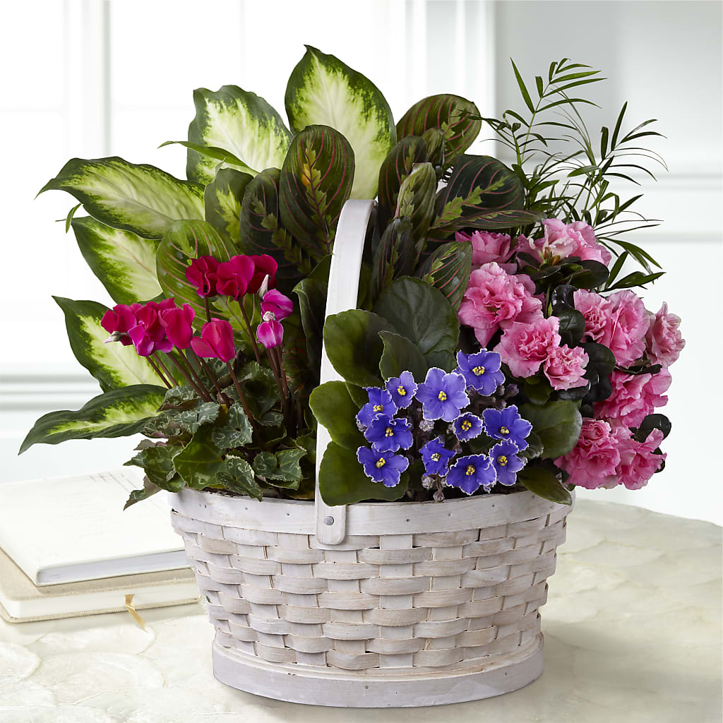Peaceful Garden Planter – XINAI'S FLOWERS, Chowchilla CA