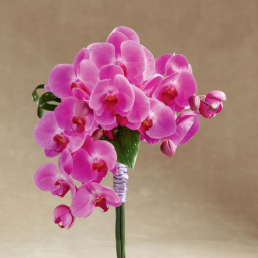 Glorious Bouquet – XINAI'S FLOWERS, Chowchilla CA