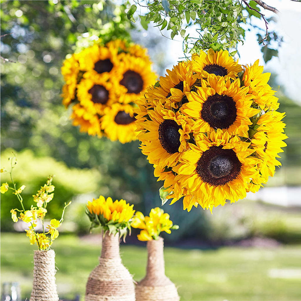 Sublime Garden Hanging Arrangement – XINAI'S FLOWERS, Chowchilla CA