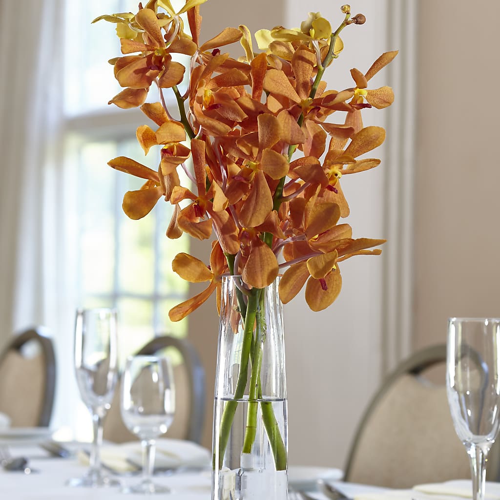 Orange Mokara Bud Vase – XINAI'S FLOWERS, Chowchilla CA