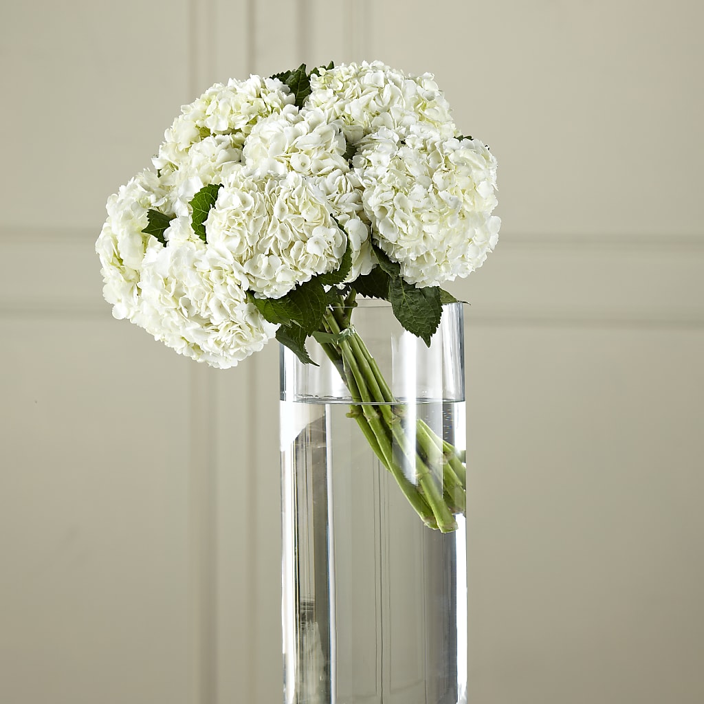 White Hydrangea Hand-Tied Bouquet – XINAI'S FLOWERS, Chowchilla CA