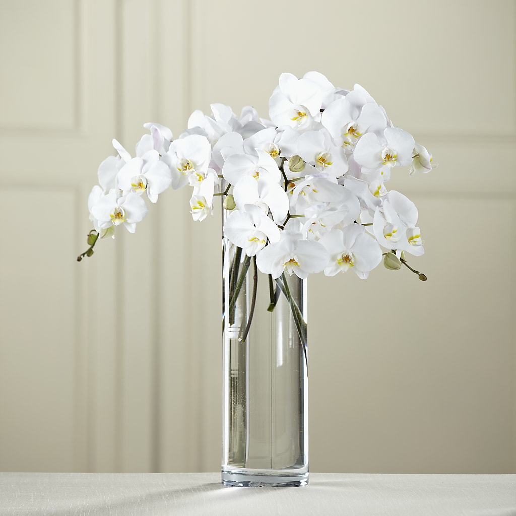 White Phalaenopsis Bouquet – XINAI'S FLOWERS, Chowchilla CA