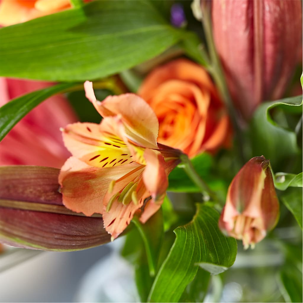 Bold & Bright – A Florist Original – XINAI'S FLOWERS, Chowchilla CA