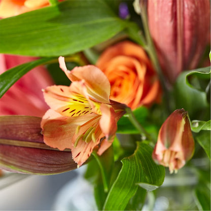 Bold & Bright – A Florist Original – XINAI'S FLOWERS, Chowchilla CA