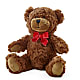 Adorable Plush Bear – XINAI'S FLOWERS, Chowchilla CA