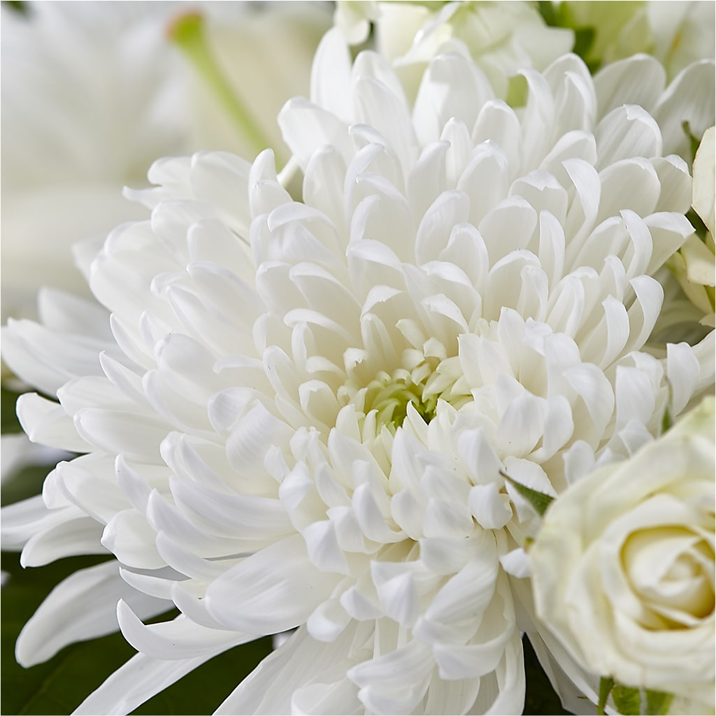 Classic Ivory – A Florist Original – XINAI'S FLOWERS, Chowchilla CA