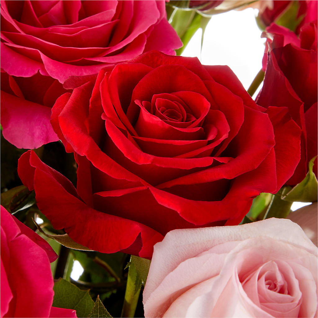 Love Notes Rose Bouquet – XINAI'S FLOWERS, Chowchilla CA