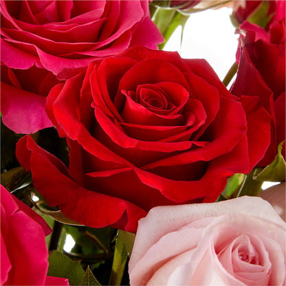 Love Notes Rose Bouquet – XINAI'S FLOWERS, Chowchilla CA