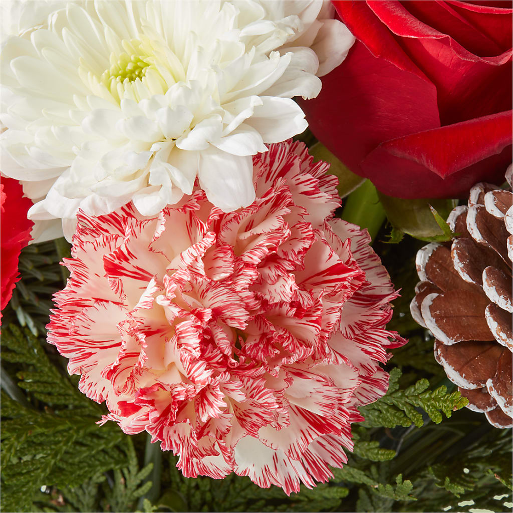 Candy Cane Lane Bouquet – XINAI'S FLOWERS, Chowchilla CA