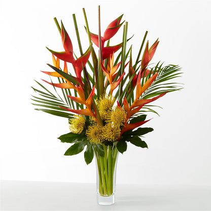 The Drama – XINAI'S FLOWERS, Chowchilla CA