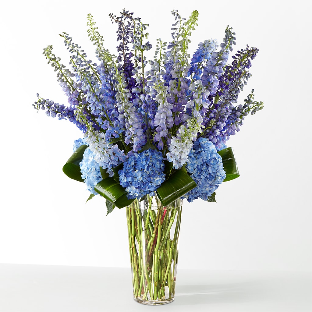 The Editorial – XINAI'S FLOWERS, Chowchilla CA