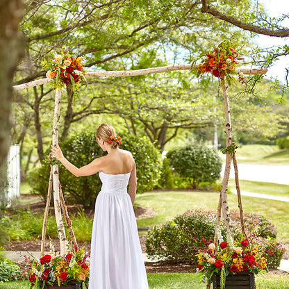 Arbor of Love Archway – XINAI'S FLOWERS, Chowchilla CA