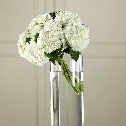 White Hydrangea Hand-Tied Bouquet – XINAI'S FLOWERS, Chowchilla CA